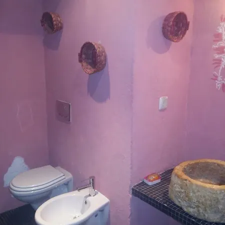 Quinta Da Sao Joao - Oliveira * Olhão