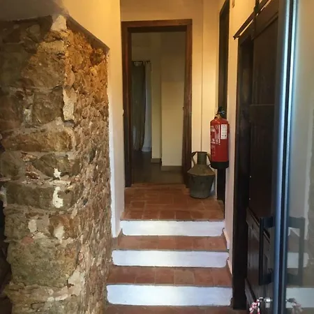 Quinta Da Sao Joao - Oliveira Olhao