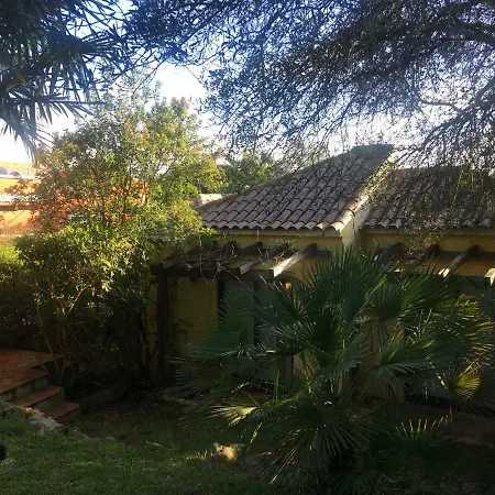 Quinta Da Sao Joao - Oliveira Olhão
