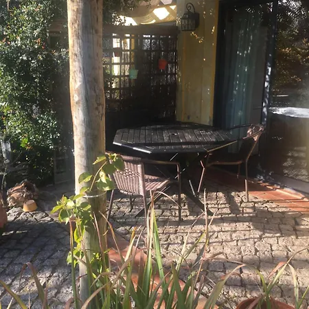 Quinta Da Sao Joao - Oliveira * Olhao