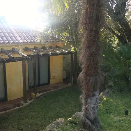 Quinta Da Sao Joao - Oliveira