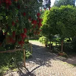 Сasa de vacaciones Quinta Da Sao Joao - Oliveira