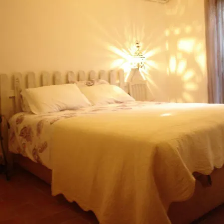 Quinta Da Sao Joao - Oliveira *