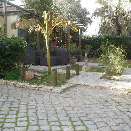 Quinta Da Sao Joao - Oliveira *