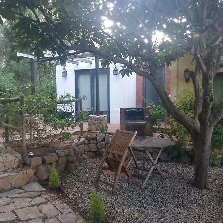 Quinta Da Sao Joao - Oliveira