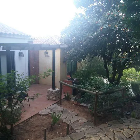 Quinta Da Sao Joao - Oliveira