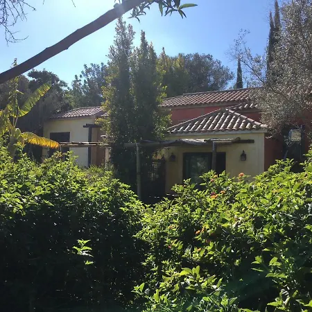 Quinta Da Sao Joao - Oliveira