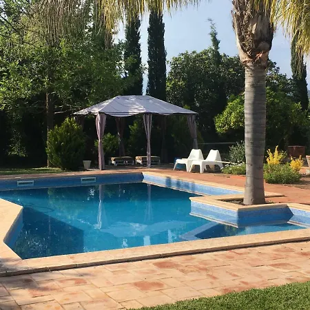 Quinta Da Sao Joao - Oliveira *