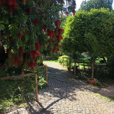 בית נופש Quinta Da Sao Joao - Oliveira
